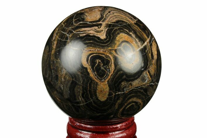 Polished Stromatolite (Greysonia) Sphere - Bolivia #191102